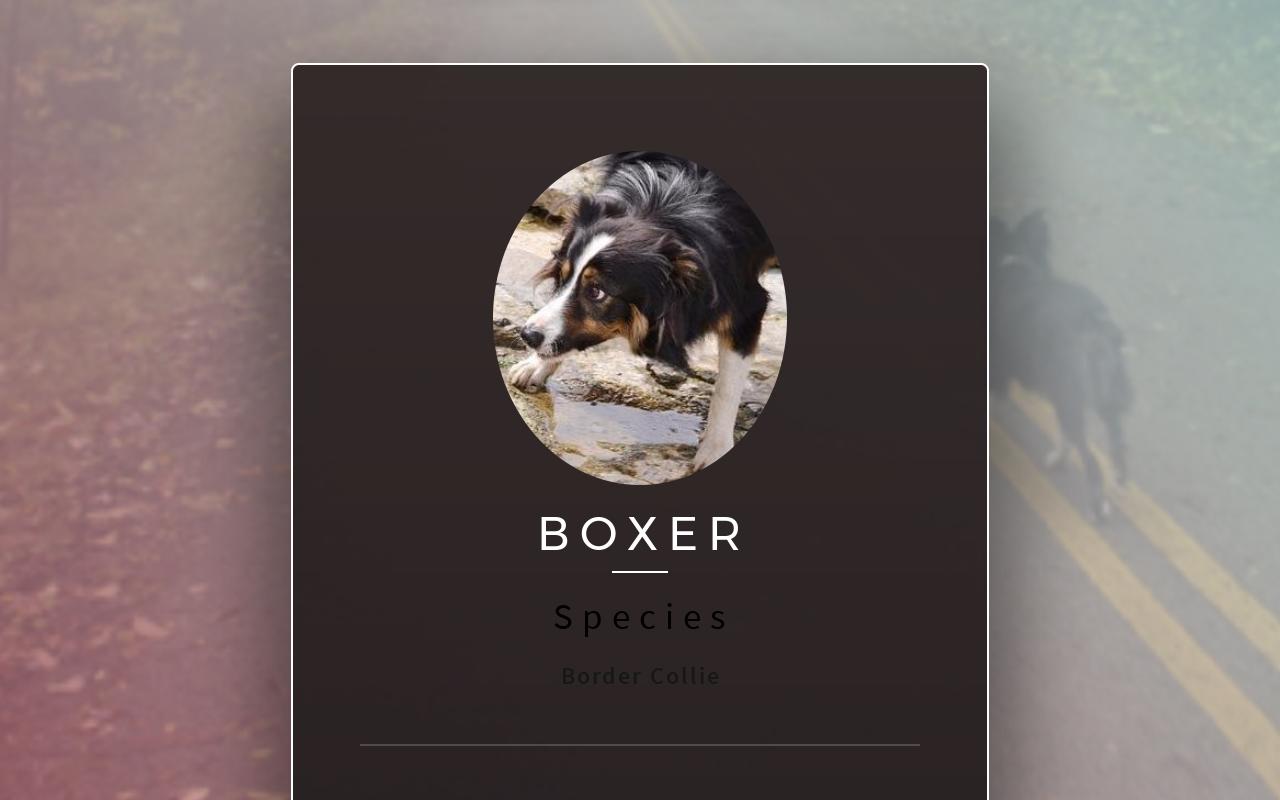 Carrd profile picture for @boxer